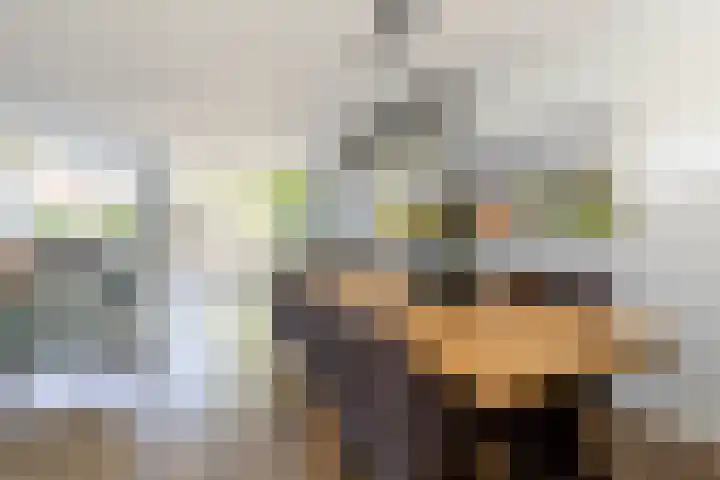 Nieuweweg 5 Oostvoorne thumbnail 10