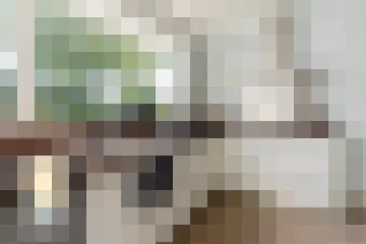 Nieuweweg 5 Oostvoorne thumbnail 13
