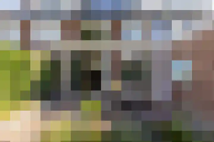 Nieuweweg 5 Oostvoorne thumbnail 28