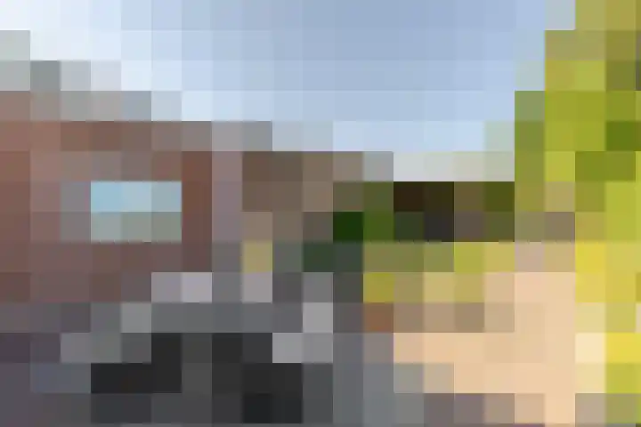 Nieuweweg 5 Oostvoorne thumbnail 29