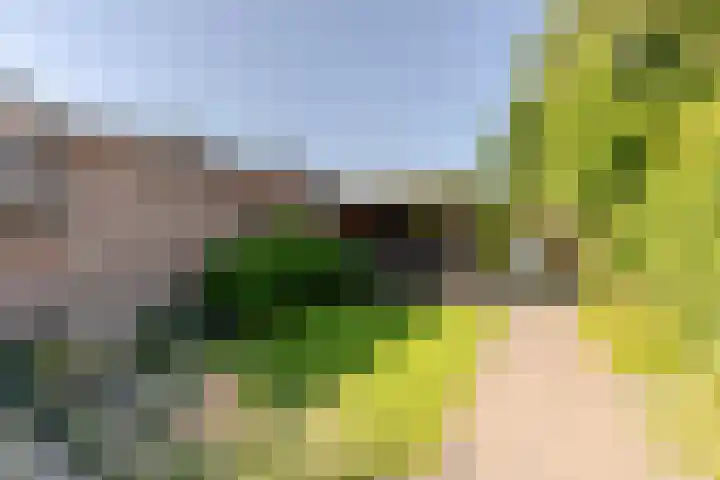 Nieuweweg 5 Oostvoorne thumbnail 31