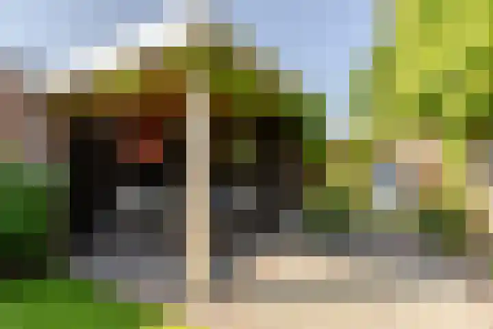 Nieuweweg 5 Oostvoorne thumbnail 32