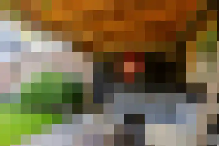 Nieuweweg 5 Oostvoorne thumbnail 33