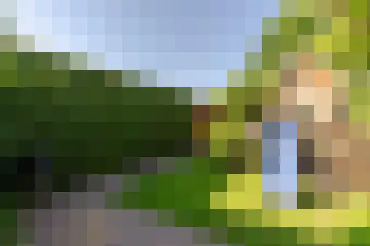 Nieuweweg 5 Oostvoorne thumbnail 34
