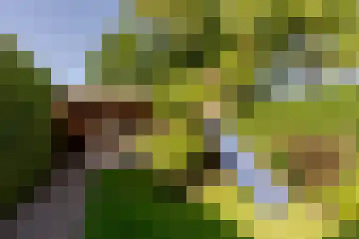 Nieuweweg 5 Oostvoorne thumbnail 35