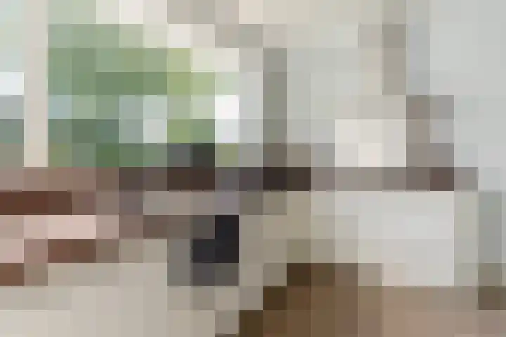 Nieuweweg 5 Oostvoorne thumbnail 4