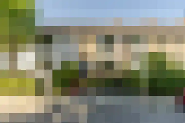 Nieuweweg 5 Oostvoorne thumbnail 40