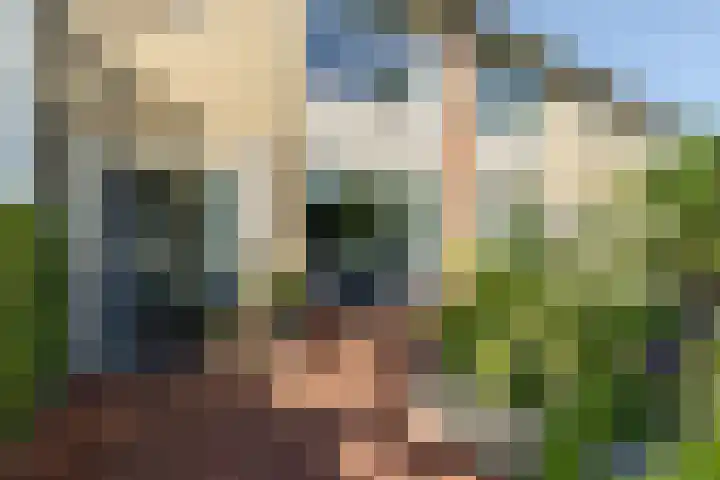 Nieuweweg 5 Oostvoorne thumbnail 5