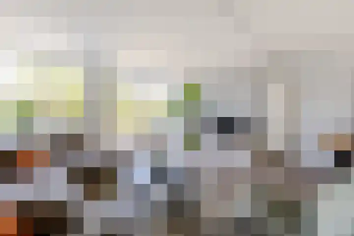 Nieuweweg 5 Oostvoorne thumbnail 8