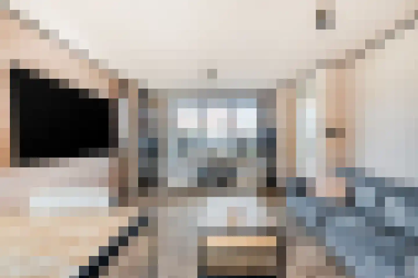 Nieuweweg 53 Anna Paulowna thumbnail 8