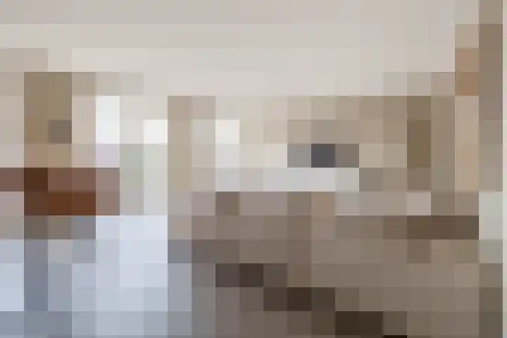 Nieuweweg 55 Breda thumbnail 8