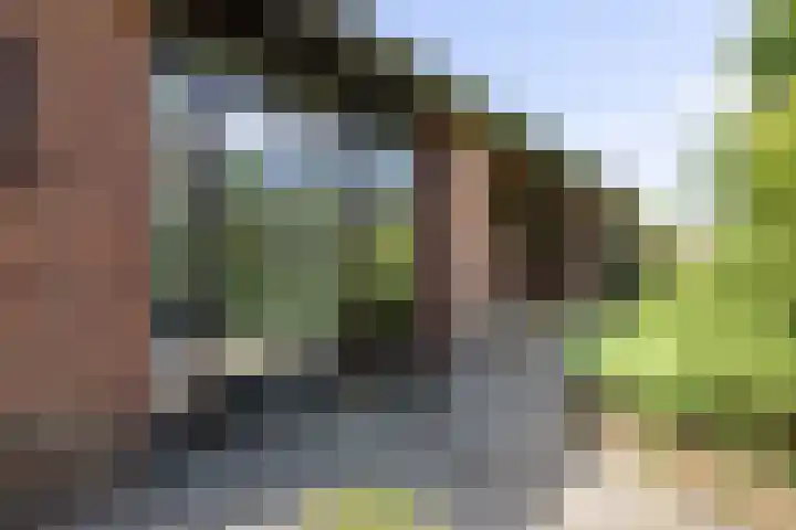 Nieuweweg 55 Hoogerheide thumbnail 34