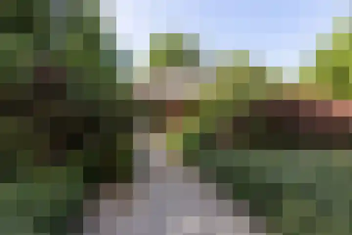 Nieuweweg 55 Hoogerheide thumbnail 35