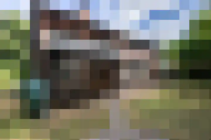 Nieuweweg 55 Hoogerheide thumbnail 36