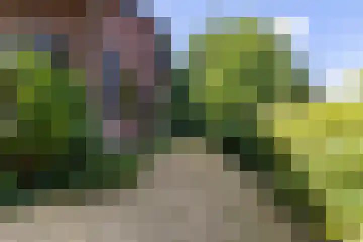 Nieuweweg 55 Hoogerheide thumbnail 38