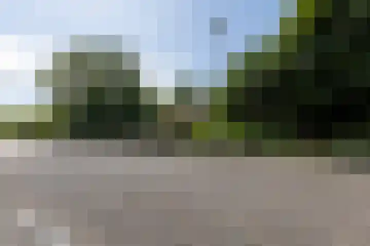 Nieuweweg 55 Hoogerheide thumbnail 39