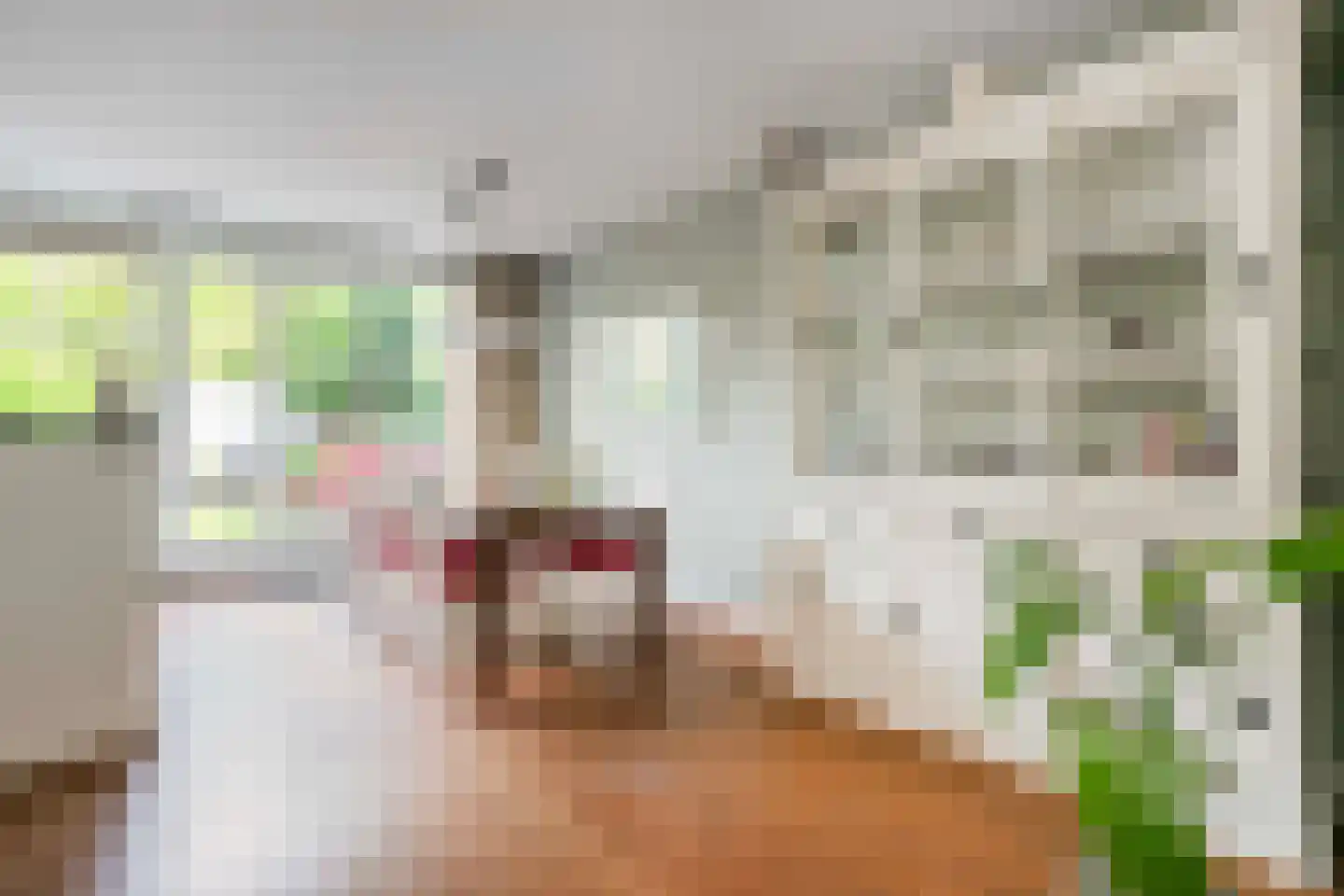 Nieuweweg 59 Wijk bij Duurstede thumbnail 10