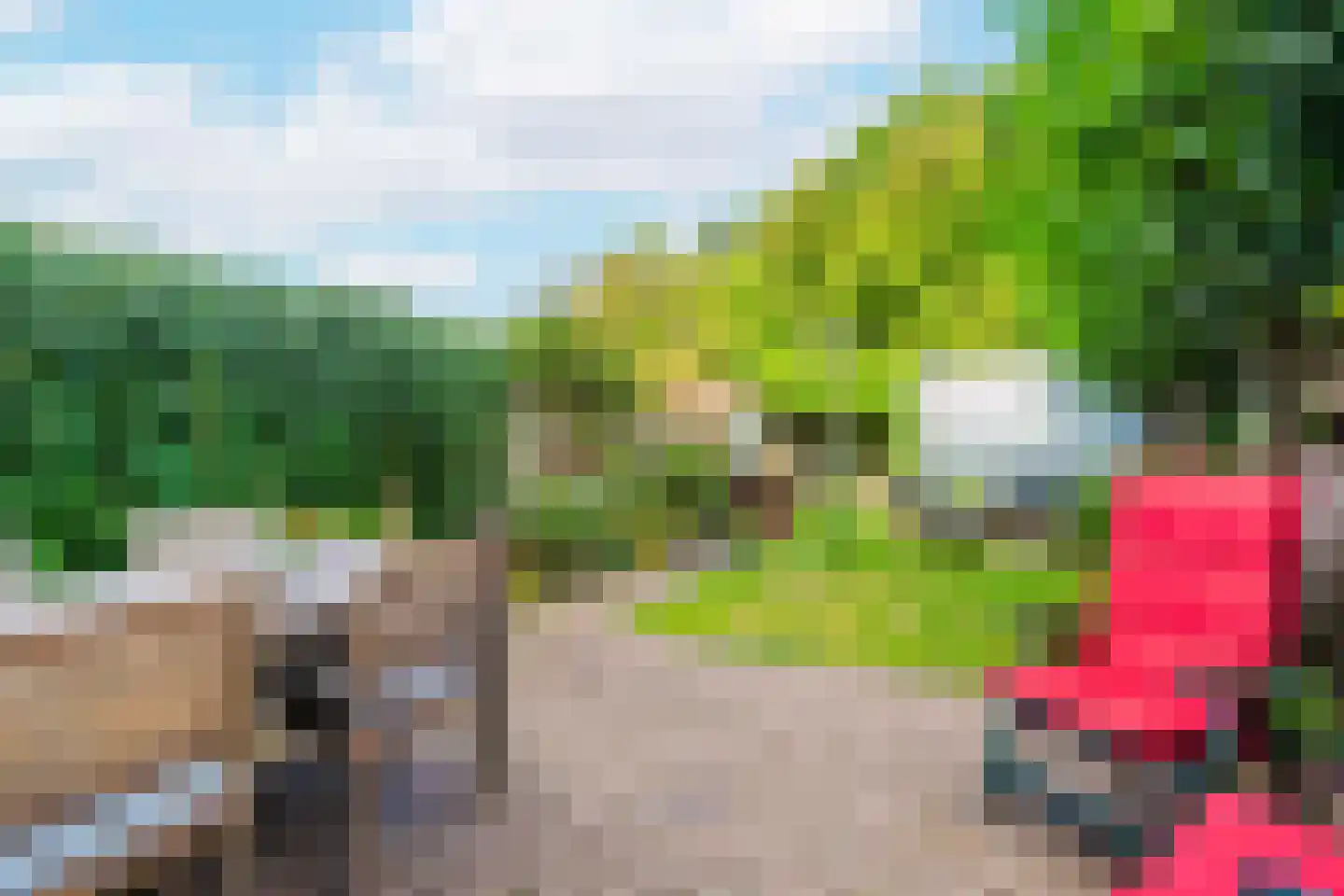 Nieuweweg 59 Wijk bij Duurstede thumbnail 17
