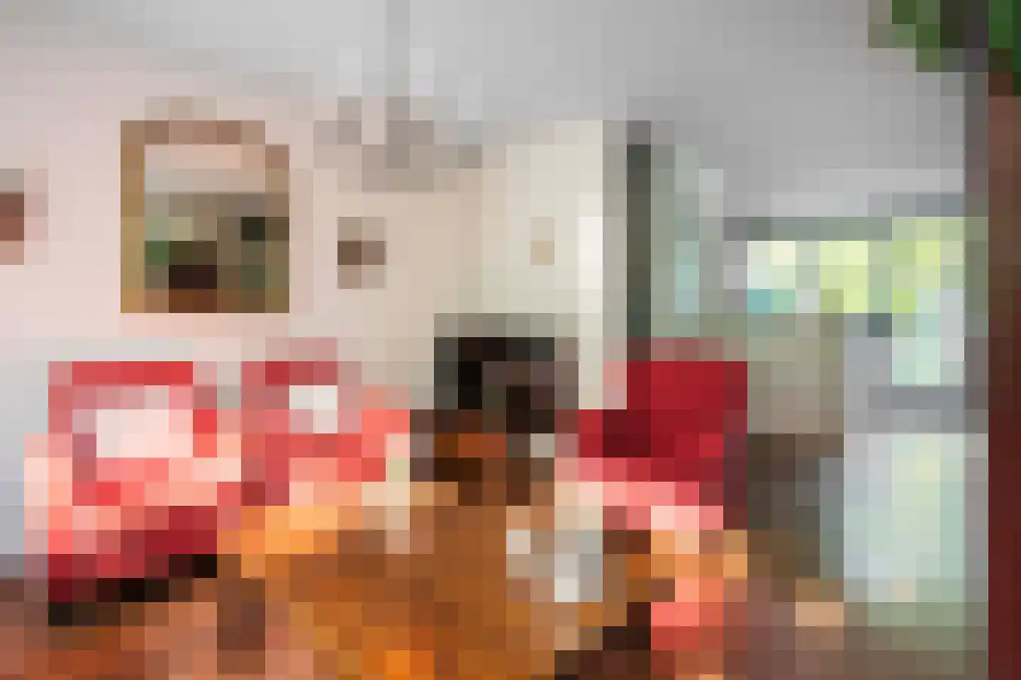 Nieuweweg 59 Wijk bij Duurstede thumbnail 7
