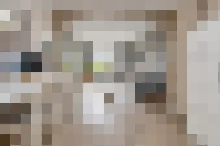 Nieuweweg 6 Anna Paulowna thumbnail 10