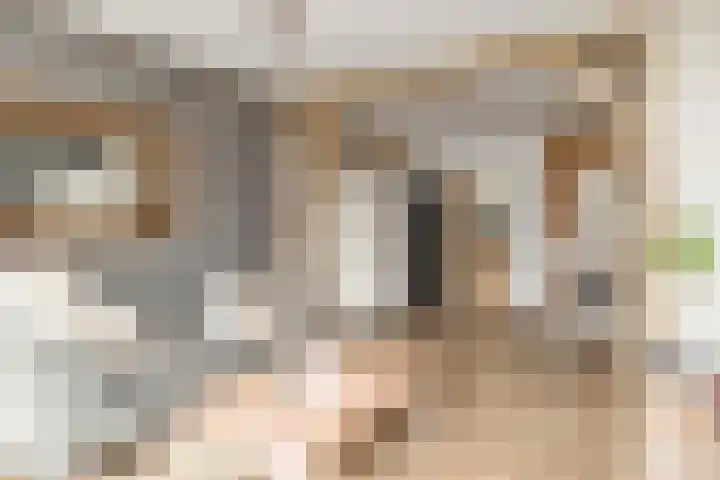 Nieuweweg 6 Anna Paulowna thumbnail 11