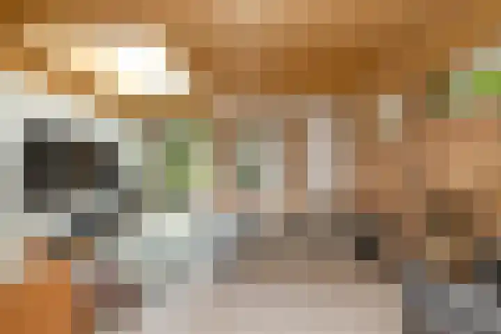 Nieuweweg 6 Anna Paulowna thumbnail 13