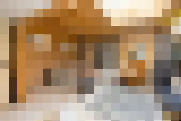 Nieuweweg 6 Anna Paulowna thumbnail 15