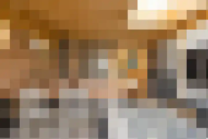 Nieuweweg 6 Anna Paulowna thumbnail 16
