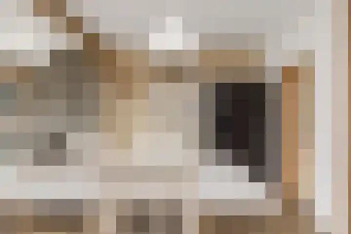 Nieuweweg 6 Anna Paulowna thumbnail 24