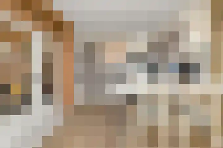 Nieuweweg 6 Anna Paulowna thumbnail 26