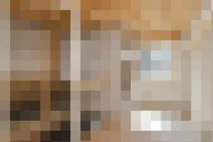 Nieuweweg 6 Anna Paulowna thumbnail 28