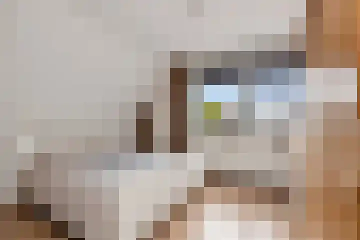 Nieuweweg 6 Anna Paulowna thumbnail 31