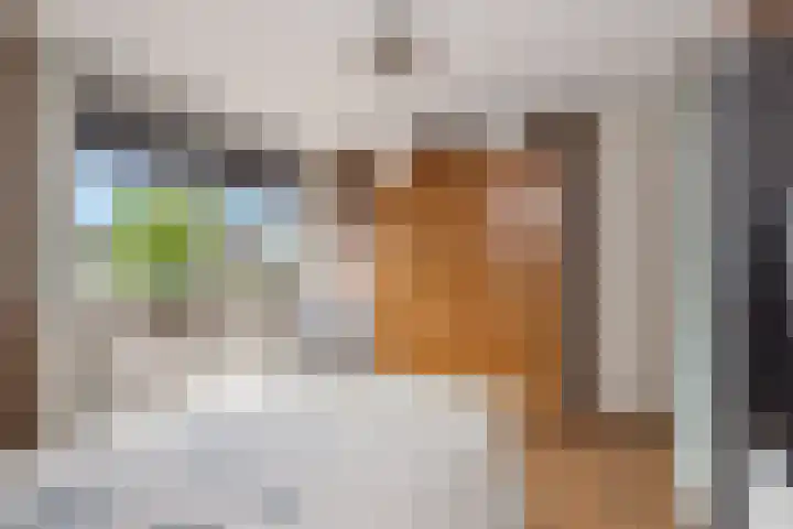Nieuweweg 6 Anna Paulowna thumbnail 33