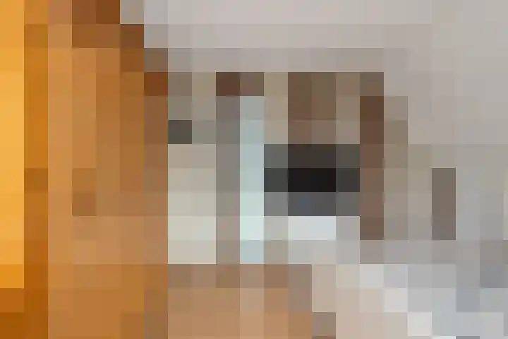 Nieuweweg 6 Anna Paulowna thumbnail 34