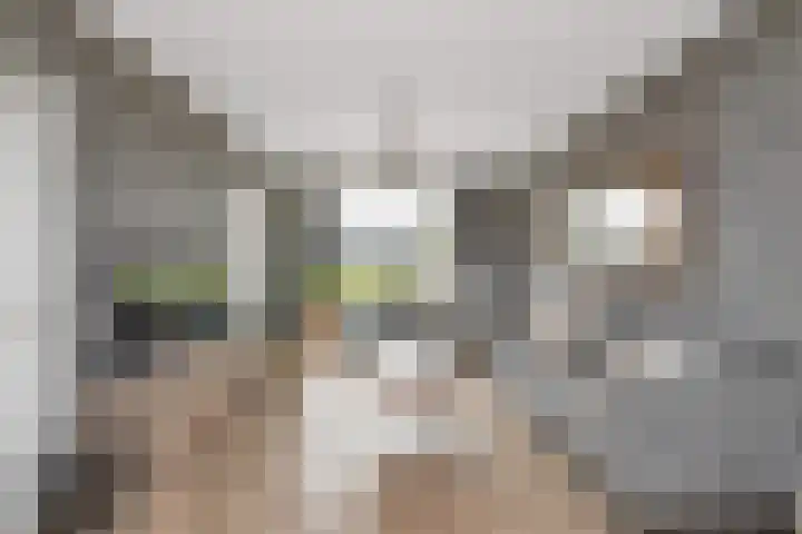 Nieuweweg 6 Anna Paulowna thumbnail 8