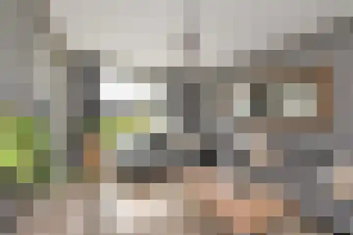 Nieuweweg 6 Anna Paulowna thumbnail 9