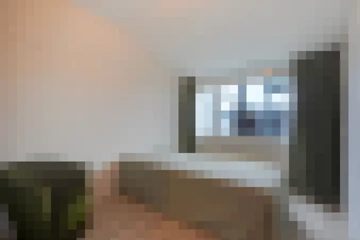 Nieuweweg 6 D Honselersdijk thumbnail 29