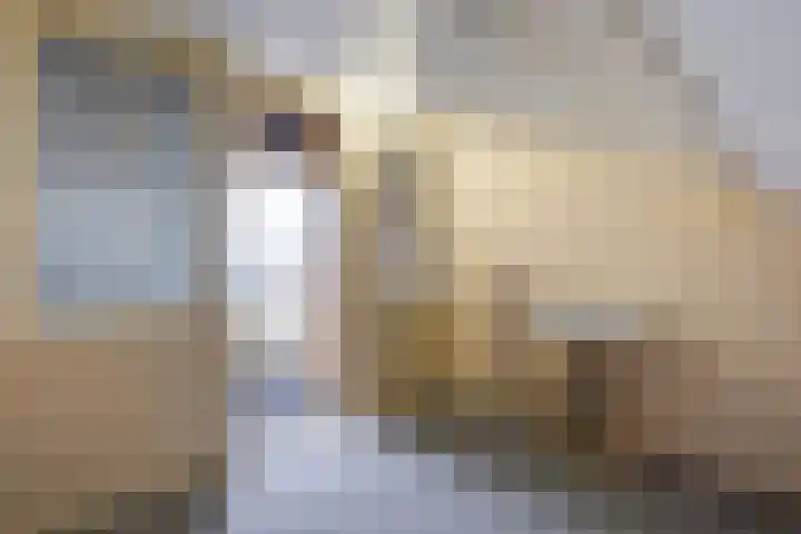 Nieuweweg 6 D Honselersdijk thumbnail 39