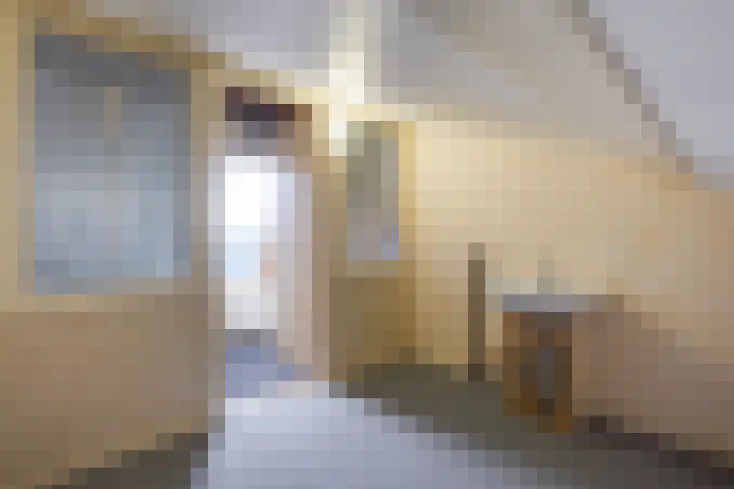 Nieuweweg 6 D Honselersdijk thumbnail 39