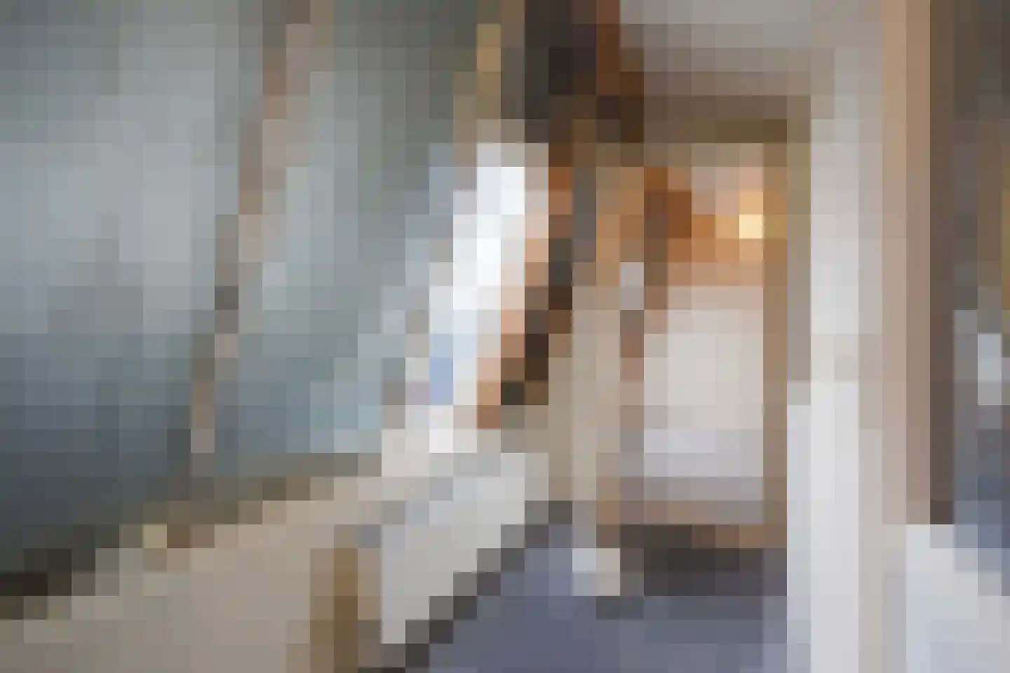 Nieuweweg 6 D Honselersdijk thumbnail 40