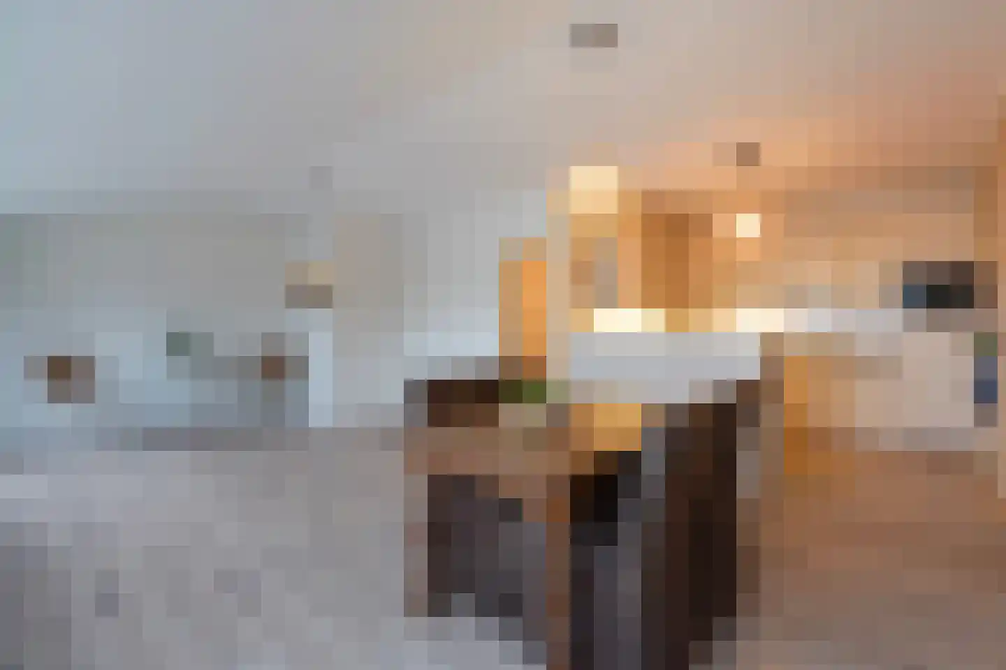 Nieuweweg 6 D Honselersdijk thumbnail 5