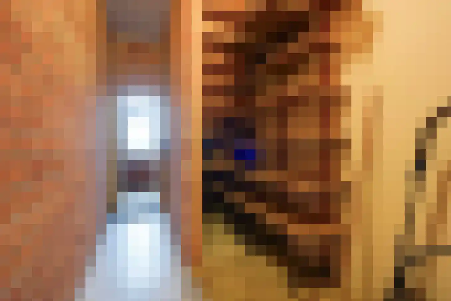 Nieuweweg 6 D Honselersdijk thumbnail 51