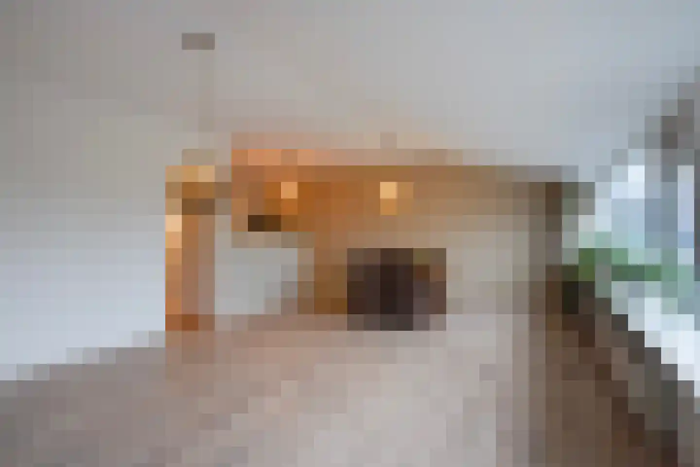 Nieuweweg 6 D Honselersdijk thumbnail 6