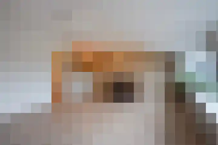 Nieuweweg 6 D Honselersdijk thumbnail 6