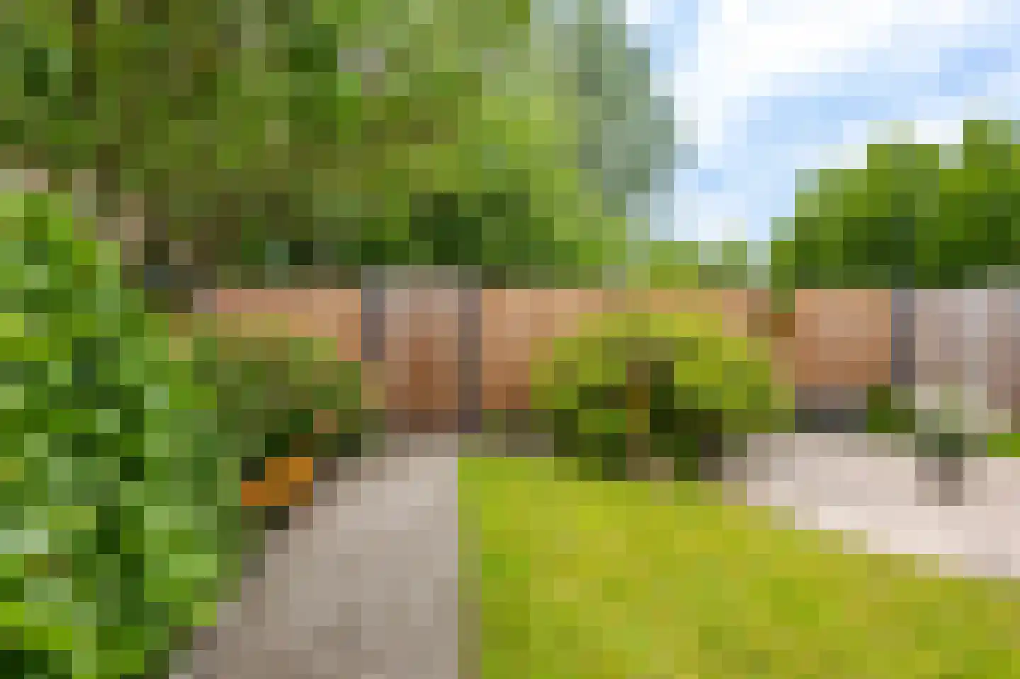 Nieuweweg 6 Hardinxveld-Giessendam thumbnail 27