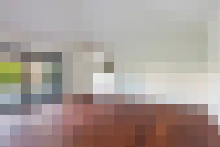 Nieuweweg 6 Numansdorp thumbnail 18