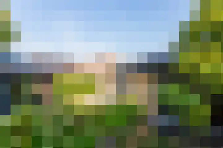 Nieuweweg 6 Numansdorp thumbnail 23