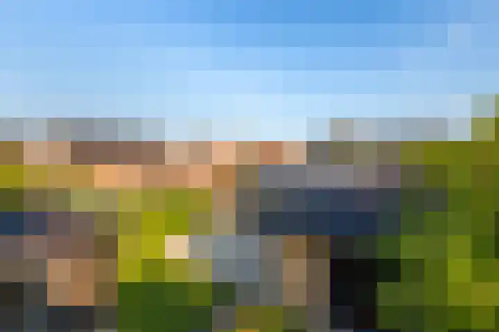 Nieuweweg 6 Numansdorp thumbnail 46