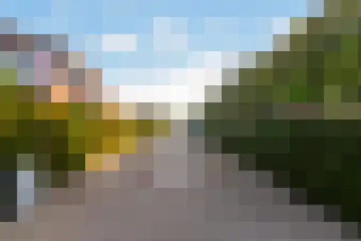 Nieuweweg 6 Numansdorp thumbnail 47
