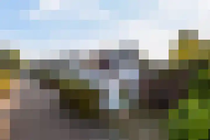 Nieuweweg 6 Numansdorp thumbnail 5